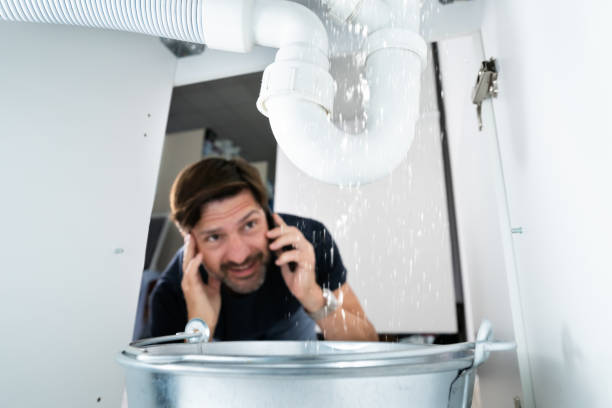 Best Commercial Plumbing Services  in Powell, TN